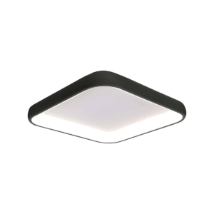 29618-00-38W-WW