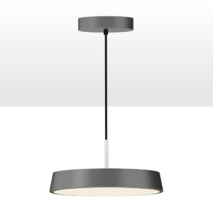 29875-00-DG-20W-WW
