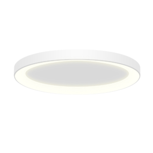 29203-D-01-80W-WW